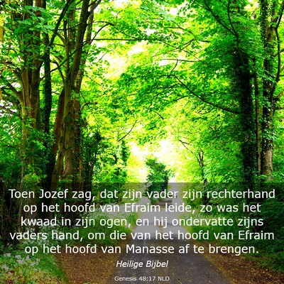 Picture 03 - Genesis 48:17 NLD - Toen Jozef zag, dat zijn vader zijn rechterhand - Bible Verse Picture