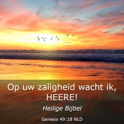 Picture 03 - Genesis 49:18 NLD - Op uw zaligheid wacht ik, - Bible Verse Picture