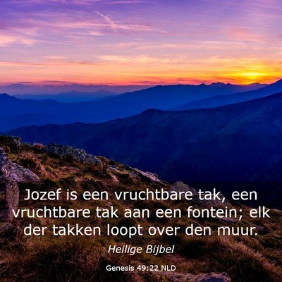 Picture 03 - Genesis 49:22 NLD - Jozef is een vruchtbare tak, een vruchtbare tak - Bible Verse Picture