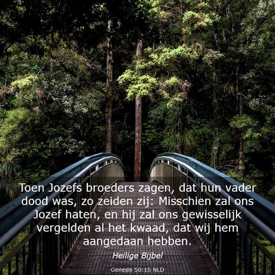 Picture 03 - Genesis 50:15 NLD - Toen Jozefs broeders zagen, dat hun vader dood - Bible Verse Picture