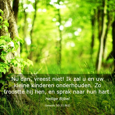 Picture 03 - Genesis 50:21 NLD - Nu dan, vreest niet! Ik zal u en uw kleine - Bible Verse Picture