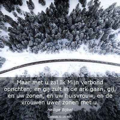 Picture 03 - Genesis 6:18 NLD - Maar met u zal Ik Mijn verbond oprichten; en gij - Bible Verse Picture