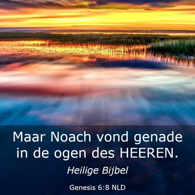 Picture 03 - Genesis 6:8 NLD - Maar Noach vond genade in de ogen des - Bible Verse Picture