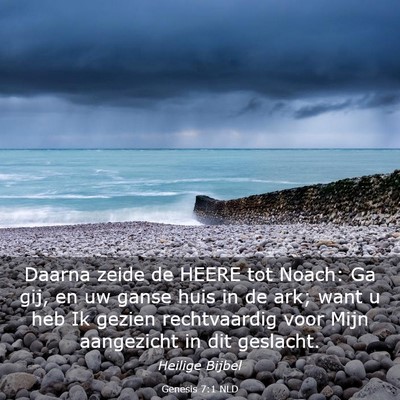 Picture 03 - Genesis 7:1 NLD - Daarna zeide de HEERE tot Noach: Ga gij, en uw - Bible Verse Picture