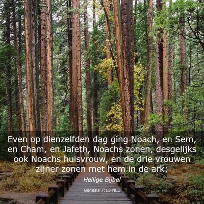 Picture 03 - Genesis 7:13 NLD - Even op dienzelfden dag ging Noach, en Sem, en - Bible Verse Picture