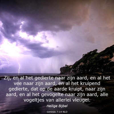 Picture 03 - Genesis 7:14 NLD - Zij, en al het gedierte naar zijn aard, en al het - Bible Verse Picture