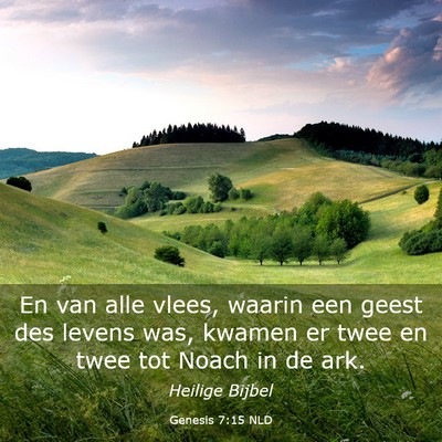 Picture 03 - Genesis 7:15 NLD - En van alle vlees, waarin een geest des levens - Bible Verse Picture