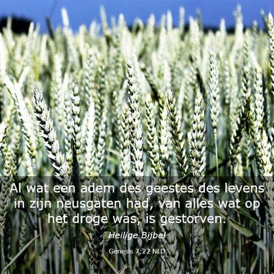 Picture 03 - Genesis 7:22 NLD - Al wat een adem des geestes des levens in zijn - Bible Verse Picture