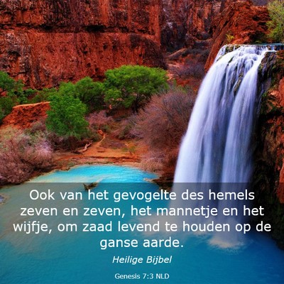 Picture 03 - Genesis 7:3 NLD - Ook van het gevogelte des hemels zeven en zeven, - Bible Verse Picture