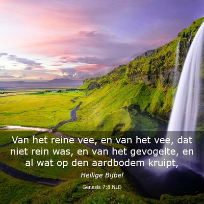 Picture 03 - Genesis 7:8 NLD - Van het reine vee, en van het vee, dat niet rein - Bible Verse Picture