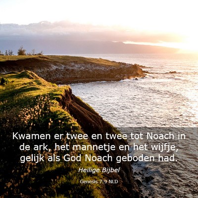 Picture 03 - Genesis 7:9 NLD - Kwamen er twee en twee tot Noach in de ark, het - Bible Verse Picture