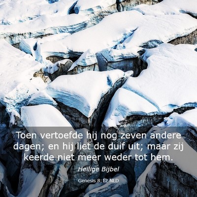 Picture 03 - Genesis 8:12 NLD - Toen vertoefde hij nog zeven andere dagen; en hij - Bible Verse Picture