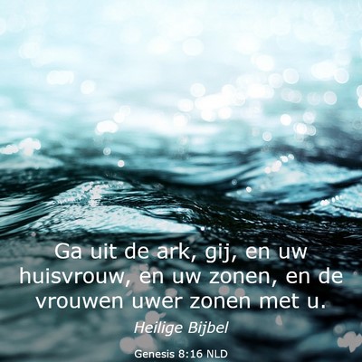 Picture 03 - Genesis 8:16 NLD - Ga uit de ark, gij, en uw huisvrouw, en uw zonen, - Bible Verse Picture