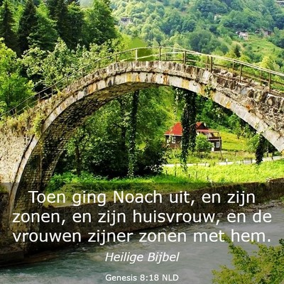 Picture 03 - Genesis 8:18 NLD - Toen ging Noach uit, en zijn zonen, en zijn - Bible Verse Picture