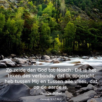Picture 03 - Genesis 9:17 NLD - Zo zeide dan God tot Noach: Dit is het teken des - Bible Verse Picture