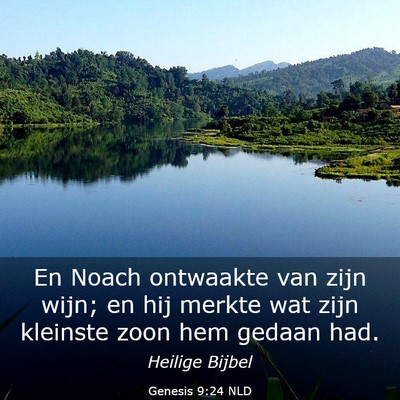 Picture 03 - Genesis 9:24 NLD - En Noach ontwaakte van zijn wijn; en hij merkte - Bible Verse Picture