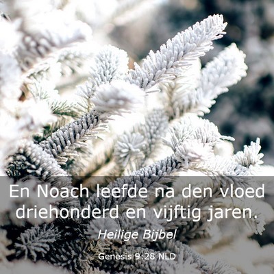Picture 03 - Genesis 9:28 NLD - En Noach leefde na den vloed driehonderd en - Bible Verse Picture