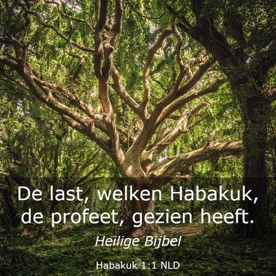Picture 03 - Habakuk 1:1 NLD - De last, welken Habakuk, de profeet, gezien - Bible Verse Picture