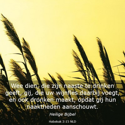 Picture 03 - Habakuk 2:15 NLD - Wee dien, die zijn naaste te drinken geeft, gij, - Bible Verse Picture
