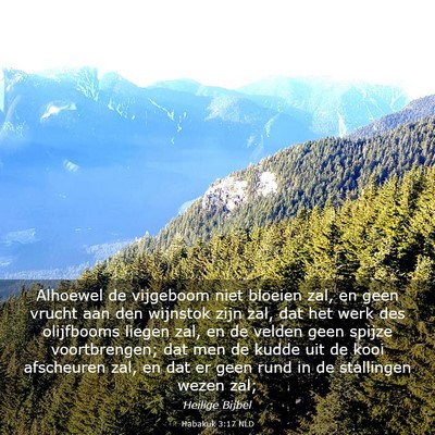 Picture 03 - Habakuk 3:17 NLD - Alhoewel de vijgeboom niet bloeien zal, en geen - Bible Verse Picture