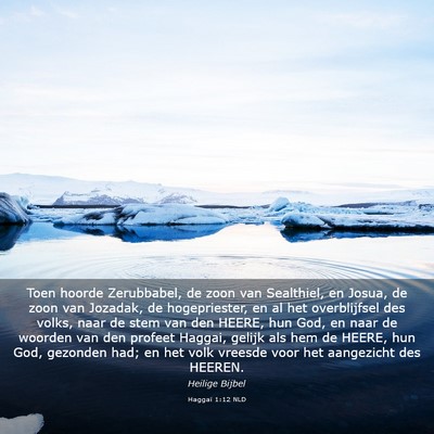 Picture 03 - Haggaï 1:12 NLD - Toen hoorde Zerubbabel, de zoon van Sealthiel, en - Bible Verse Picture