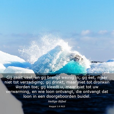 Picture 03 - Haggaï 1:6 NLD - Gij zaait veel, en gij brengt weinig in; gij eet, - Bible Verse Picture
