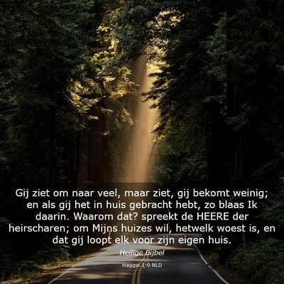 Picture 03 - Haggaï 1:9 NLD - Gij ziet om naar veel, maar ziet, gij bekomt - Bible Verse Picture