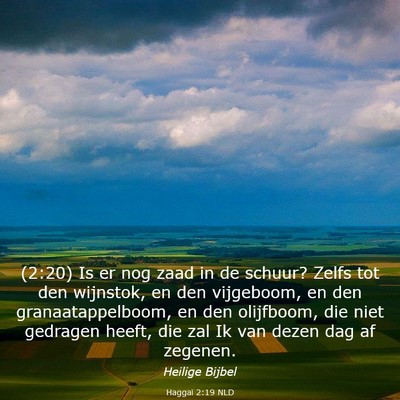 Picture 03 - Haggaï 2:19 NLD - (2:20) Is er nog zaad in de schuur? Zelfs tot den - Bible Verse Picture