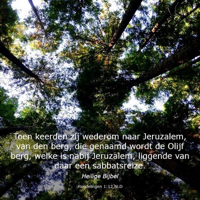 Picture 03 - Handelingen 1:12 NLD - Toen keerden zij wederom naar Jeruzalem, van den - Bible Verse Picture