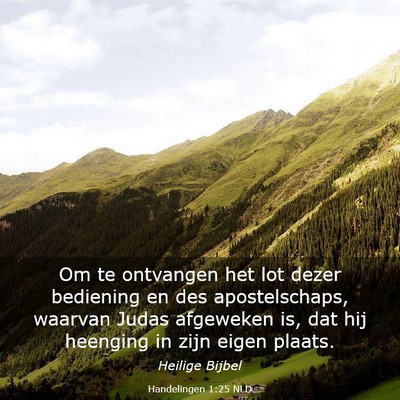 Picture 03 - Handelingen 1:25 NLD - Om te ontvangen het lot dezer bediening en des - Bible Verse Picture