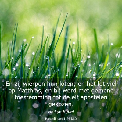 Picture 03 - Handelingen 1:26 NLD - En zij wierpen hun loten; en het lot viel op - Bible Verse Picture