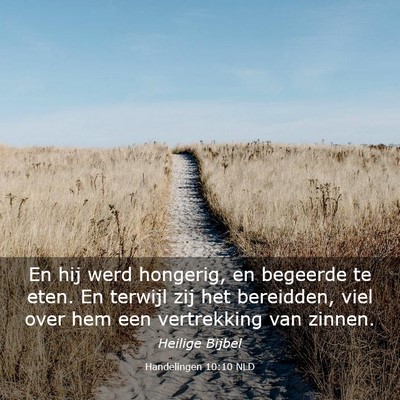 Picture 03 - Handelingen 10:10 NLD - En hij werd hongerig, en begeerde te eten. En - Bible Verse Picture