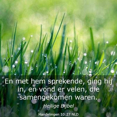 Picture 03 - Handelingen 10:27 NLD - En met hem sprekende, ging hij in, en vond er - Bible Verse Picture