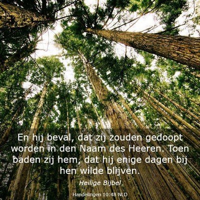 Picture 03 - Handelingen 10:48 NLD - En hij beval, dat zij zouden gedoopt worden in - Bible Verse Picture