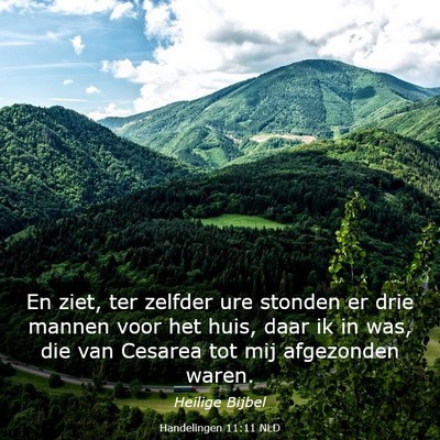 Picture 03 - Handelingen 11:11 NLD - En ziet, ter zelfder ure stonden er drie mannen - Bible Verse Picture