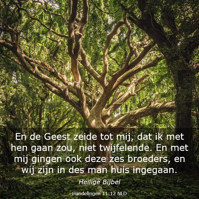 Picture 03 - Handelingen 11:12 NLD - En de Geest zeide tot mij, dat ik met hen gaan - Bible Verse Picture