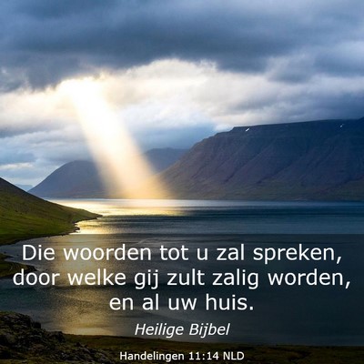 Picture 03 - Handelingen 11:14 NLD - Die woorden tot u zal spreken, door welke gij - Bible Verse Picture