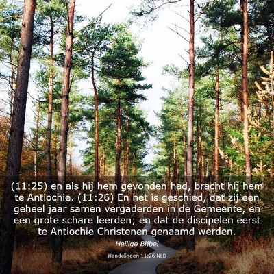 Picture 03 - Handelingen 11:26 NLD - (11:25) en als hij hem gevonden had, bracht hij - Bible Verse Picture