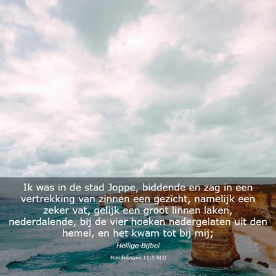 Picture 03 - Handelingen 11:5 NLD - Ik was in de stad Joppe, biddende en zag in een - Bible Verse Picture