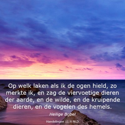 Picture 03 - Handelingen 11:6 NLD - Op welk laken als ik de ogen hield, zo merkte ik, - Bible Verse Picture