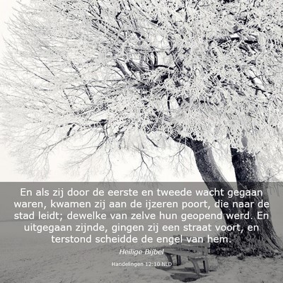 Picture 03 - Handelingen 12:10 NLD - En als zij door de eerste en tweede wacht gegaan - Bible Verse Picture