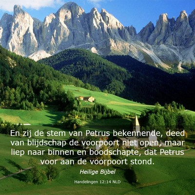 Picture 03 - Handelingen 12:14 NLD - En zij de stem van Petrus bekennende, deed van - Bible Verse Picture