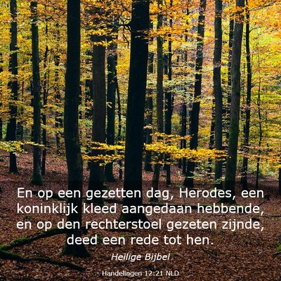 Picture 03 - Handelingen 12:21 NLD - En op een gezetten dag, Herodes, een koninklijk - Bible Verse Picture
