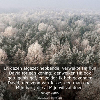 Picture 03 - Handelingen 13:22 NLD - En dezen afgezet hebbende, verwekte Hij hun David - Bible Verse Picture