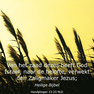 Picture 03 - Handelingen 13:23 NLD - Van het zaad dezes heeft God Israel, naar de - Bible Verse Picture