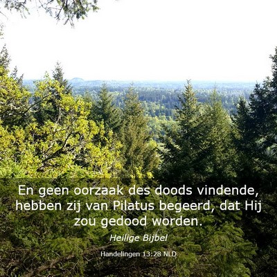 Picture 03 - Handelingen 13:28 NLD - En geen oorzaak des doods vindende, hebben zij - Bible Verse Picture