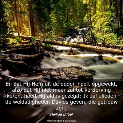 Picture 03 - Handelingen 13:34 NLD - En dat Hij Hem uit de doden heeft opgewekt, alzo - Bible Verse Picture