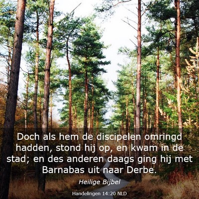 Picture 03 - Handelingen 14:20 NLD - Doch als hem de discipelen omringd hadden, stond - Bible Verse Picture