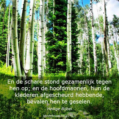 Picture 03 - Handelingen 16:22 NLD - En de schare stond gezamenlijk tegen hen op; en - Bible Verse Picture