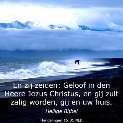 Picture 03 - Handelingen 16:31 NLD - En zij zeiden: Geloof in den Heere Jezus - Bible Verse Picture